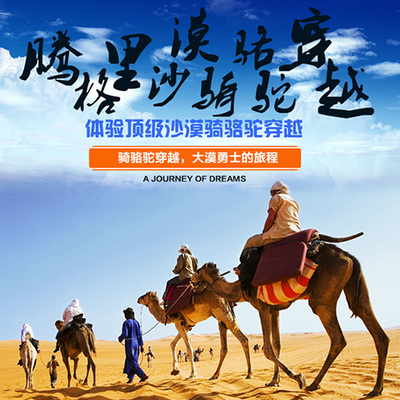 整合資源，打造專業旅游服務新生態